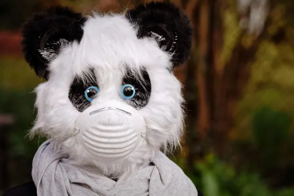 BetOriginal Kasino Support